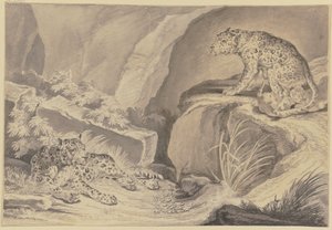  autorstwa Johann Elias Ridinger