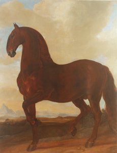 Gniady ogier w stadninie Eisgruber