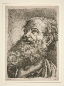 Głowa mężczyzny (apostoła?) autorstwa Johann Georg Hertel