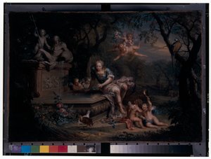 Narcyz odbicie w studni autorstwa Johann Georg Platzer