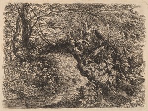 Stara wierzba nad strumieniem autorstwa Johann Georg von Dillis