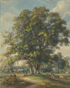 A w Arkadii I, 1790-1800.