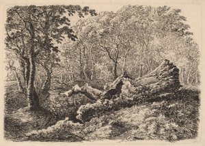 Pnia butwiejącego drzewa autorstwa Johann Georg von Dillis