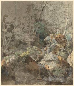 Wodospady w górskim lesie autorstwa Johann Georg von Dillis