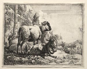Koza z Dzwonkiem, 1665. autorstwa Johann Heinrich Roos