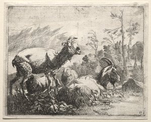 Kozy autorstwa Johann Heinrich Roos
