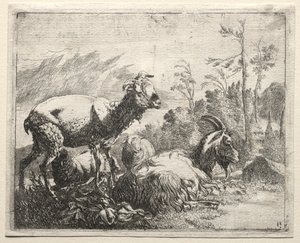 Kozy, 1665. autorstwa Johann Heinrich Roos