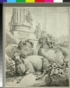  autorstwa Johann Heinrich Roos