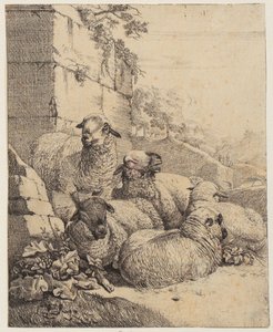  autorstwa Johann Heinrich Roos