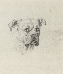 Bokser autorstwa Johann Heinrich Wilhelm Tischbein