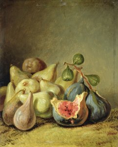 Martwa natura z owocami