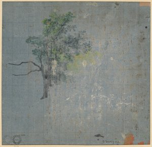 Studia drzew (verso) autorstwa Johann Jacob Dorner
