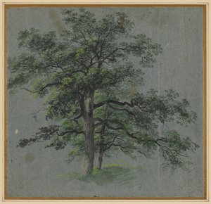 Dwa drzewa (rekto) autorstwa Johann Jacob Dorner