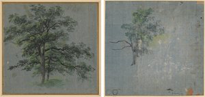Dwa drzewa (recto) Tree Studies (verso) autorstwa Johann Jacob Dorner