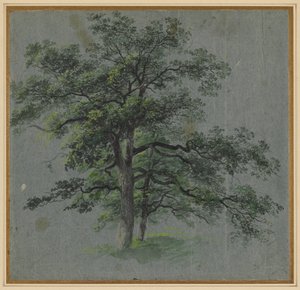 Two Trees recto Tree Studies verso, pierwsza połowa XIX wieku. autorstwa Johann Jacob Dorner