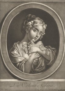 Kochany gołąb autorstwa Johann Jacobus Haid