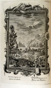 Miedzioryt z „Physica Sacra” szwajcarskiego uczonego. Johanna Jakoba Scheuchzera autorstwa Johann Jakob Scheuchzer