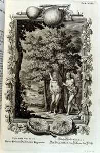 Miedzioryt z „Physica Sacra” szwajcarskiego uczonego. Johanna Jakoba Scheuchzera