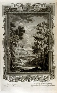 Ilustracja autorstwa Johann Jakob Scheuchzer