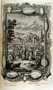Plaga wszy i muszek autorstwa Johann Jakob Scheuchzer
