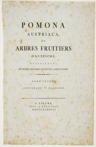 Strona tytułowa z „Pomona Austriaca, czyli austriackie drzewa owocowe”, 1787-96 (druk) autorstwa Johann Kraft