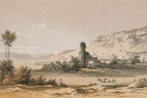 Magdala (Majdal Szams). Akwaforta Bernatza et alii - Steinkopk J.F. Editore autorstwa Johann Martin Bernatz