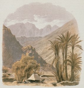 Synaj. Akwaforta Bernatza et al - Steinkopk J.F. Redaktor autorstwa Johann Martin Bernatz