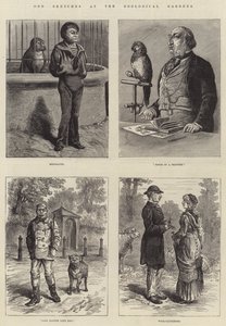 Dziwne szkice w ogrodach zoologicznych