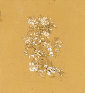 Bukiet Blumen autorstwa Johann Peter Krafft