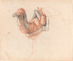 Wielbłąd autorstwa Johann Rudolph Schellenberg