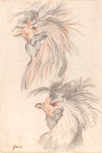 Walczący kogut autorstwa Johann Rudolph Schellenberg
