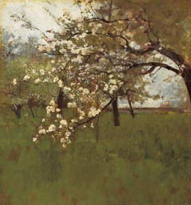 Kwitnąca jabłoń (olej na płótnie) autorstwa Johann Sperl
