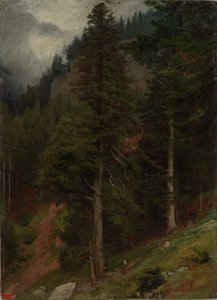Zbocze w lesie jodłowym autorstwa Johann Wilhelm Schirmer