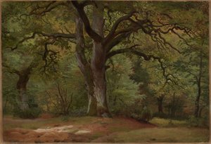 Las dębowy w Sollingu autorstwa Johann Wilhelm Schirmer