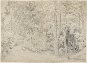 W lesie bukowym autorstwa Johann Wilhelm Schirmer