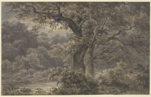 Dęby w lesie autorstwa Johann Wilhelm Schirmer