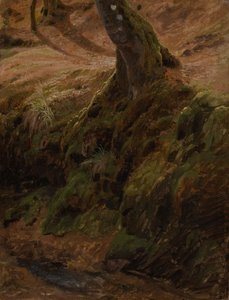  autorstwa Johann Wilhelm Schirmer
