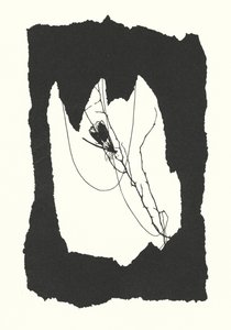 Sylwetka Johanny Beckmann (litografia) autorstwa Johanna Beckmann