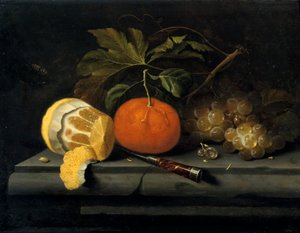 Owoce na kamiennym stole, c1653-1659 autorstwa Johannes Borman