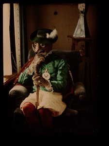 Osoba przebrana za lisa