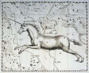 Monoceros, konstelacja Jednorożca, rycina z atlasu niebieskiego Firmamentum Sobiescianum sive Uronographia, autorstwa Jana Heweliusza (1611-1687), Gdańsk