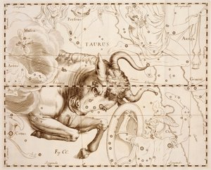 Byk (znak zodiaku), rycina z Firmamentum Sobiescianum sive Uranographia, Kompletny katalog gwiazd, autorstwa Jana Heweliusza (1611-1687), druk w Gdańsku