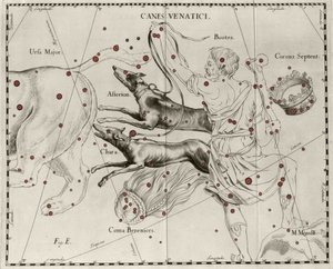 Konstelacja Canes Venatici, psy myśliwskie. Talerz zaczerpnięty z „Firmamentum Sobiescanum sive Uranographia” Jana Heweliusza lub Hevela (1611-1687) autorstwa Johannes Hevelius