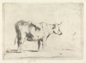 Krowa, w prawo autorstwa Johannes Janson (possibly)