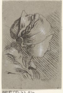 kobiecy biust autorstwa Johannes Janson (possibly)