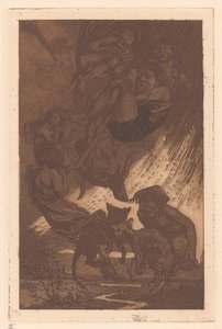 Pływający ludzie, fantastyczne stworzenia i koty autorstwa Johannes Josephus Aarts
