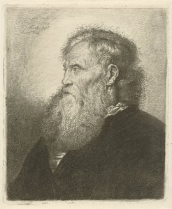 Portret starca z brodą
