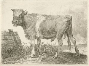 Szlaki autorstwa Johannes Mock