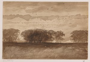 Rookery w Brabancji Północnej