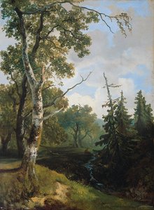 Widok na las w pobliżu Wolfheze. autorstwa Johannes Warnardus Bilders
